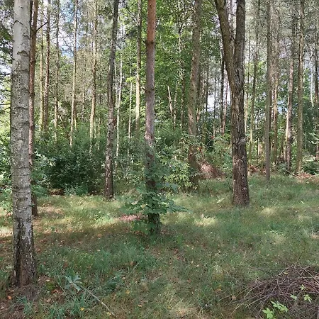 Domek Letniskowy Holiday home Zalewo (Ostroda)