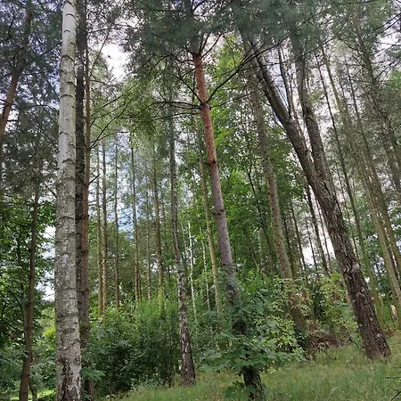 Holiday home Domek Letniskowy