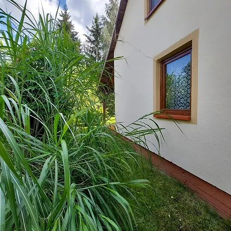 Domek Letniskowy * Zalewo (Ostroda)